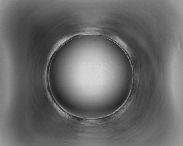 X0000114561485200910191421
