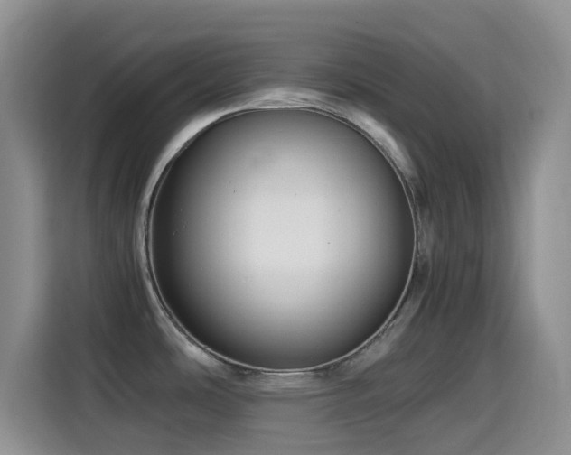 X0000114561486200910191421