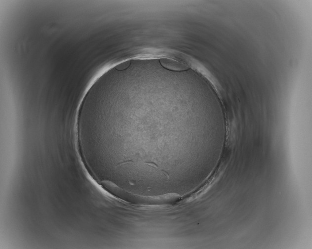 X0000114561487200910191421