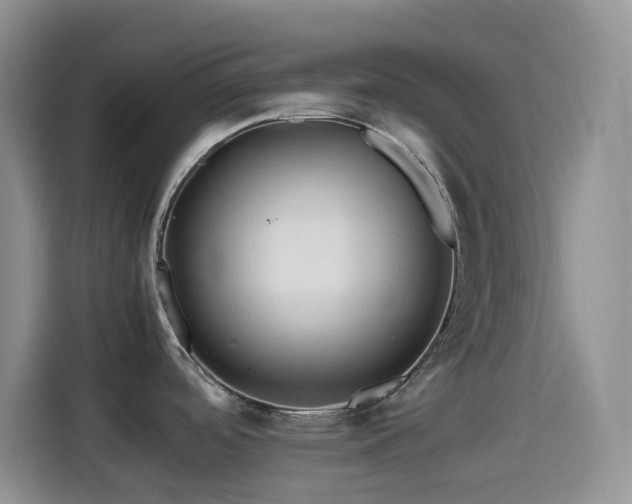 X0000114561488200910191421