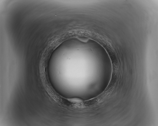 X0000114561489200910191421