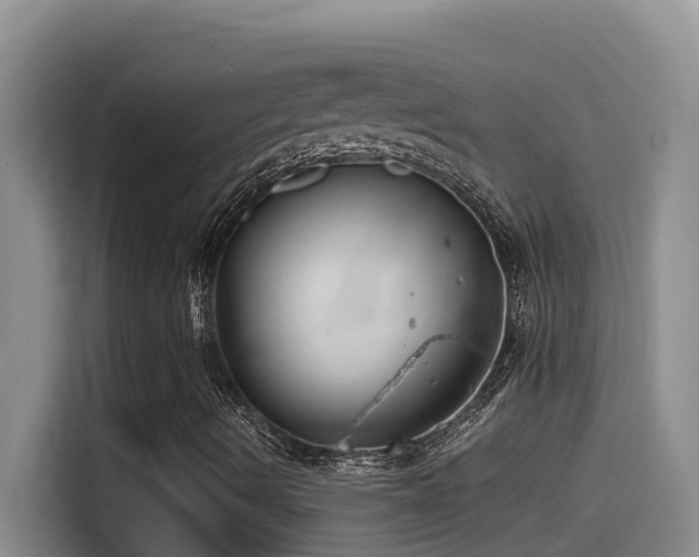 X0000114561490200910191421