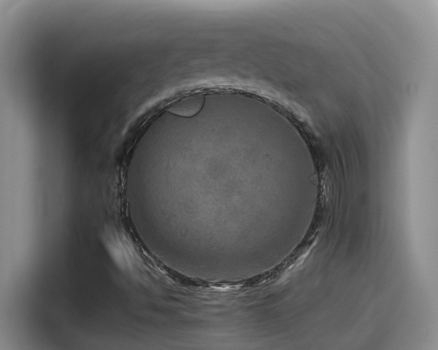 X0000114561494200910191421