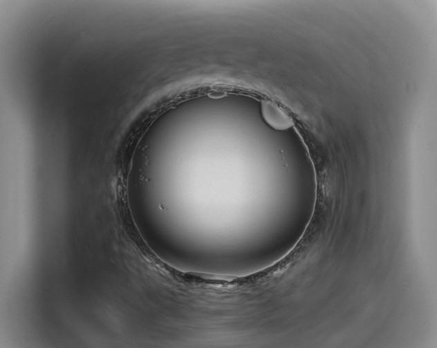 X0000114561495200910191421