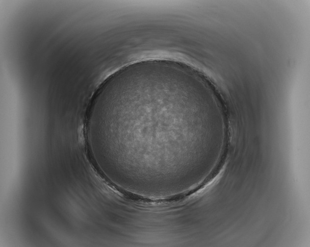 X0000114561497200910191421