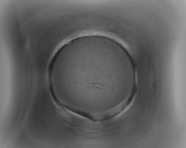 X0000114561501200910191421