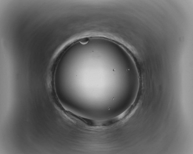 X0000114561502200910191421