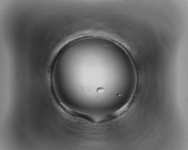 X0000114561503200910191421