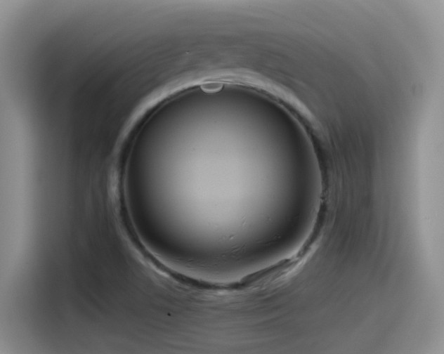X0000114561506200910191421