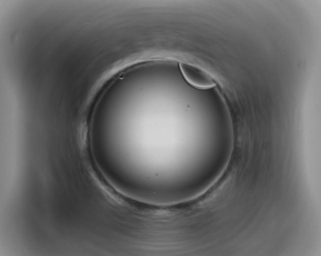 X0000114561507200910191421