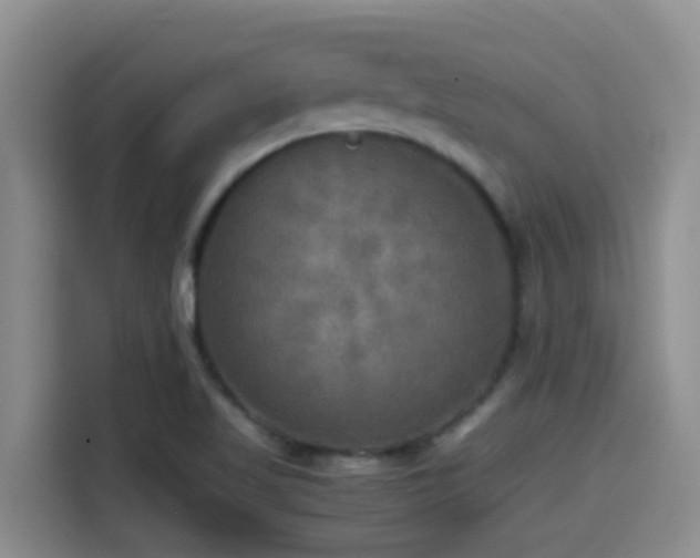 X0000114561509200910191421