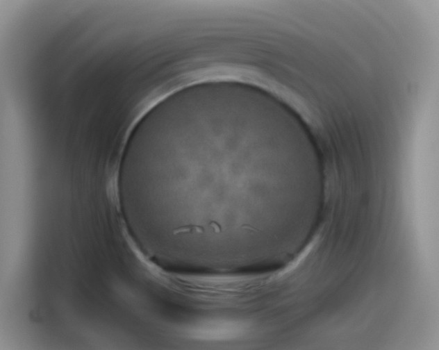 X0000114561513200910191421