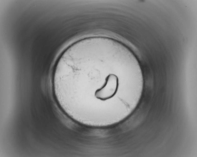 X0000114561514200910191421