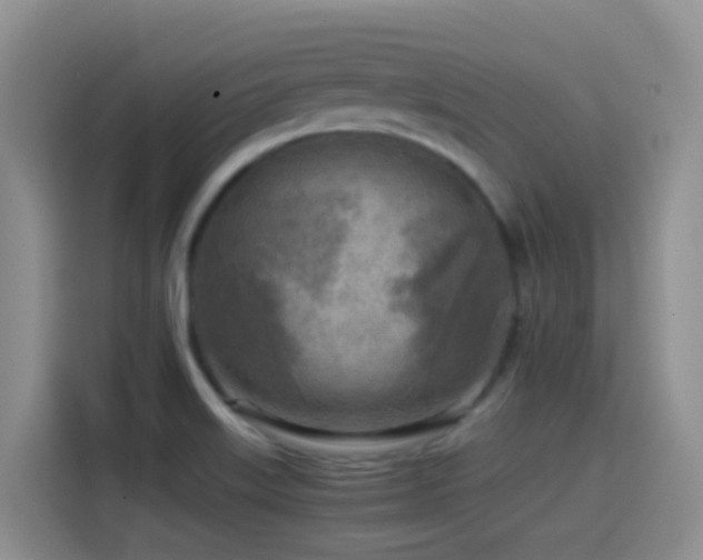 X0000114561515200910191421