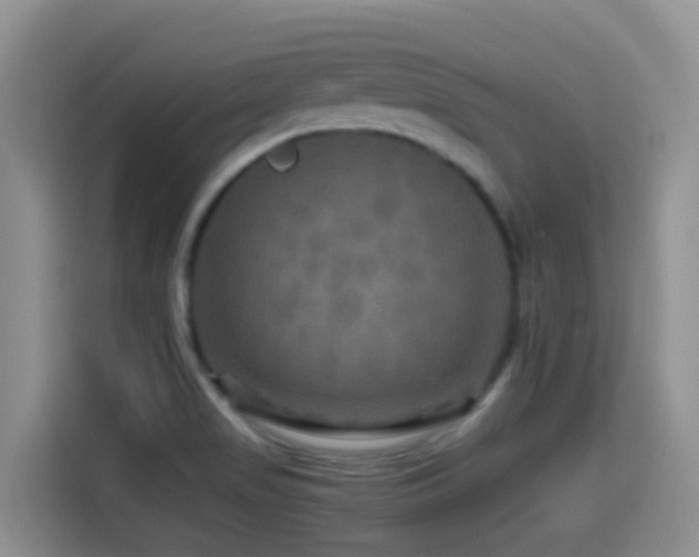 X0000114561517200910191421