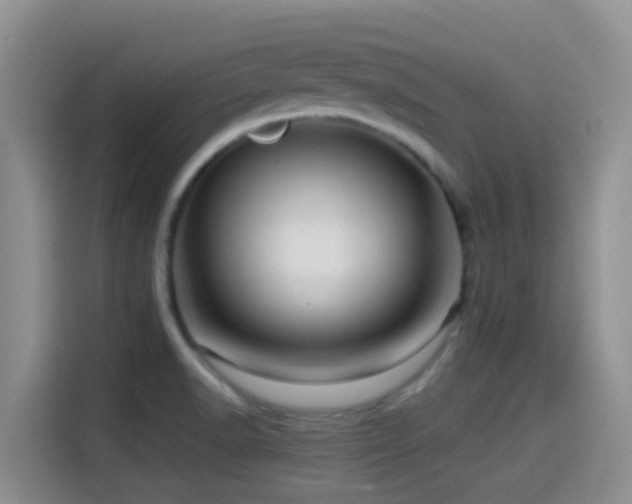 X0000114561518200910191421