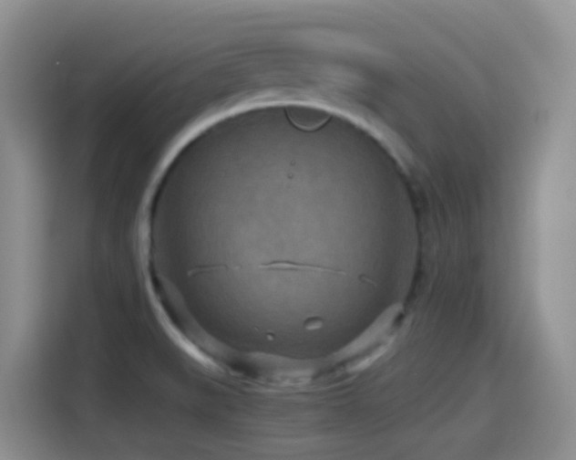 X0000114561519200910191421