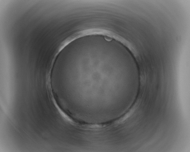 X0000114561521200910191421