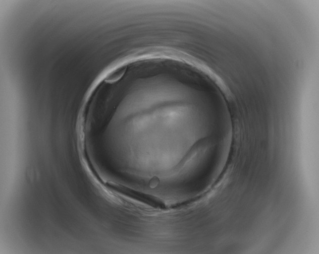 X0000114561522200910191421