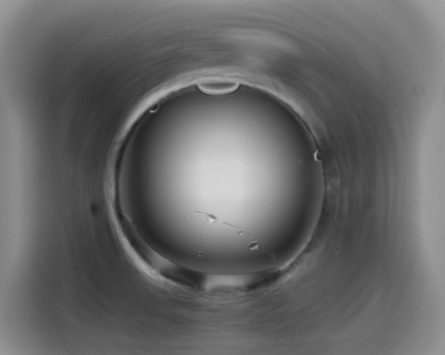 X0000114561523200910191421