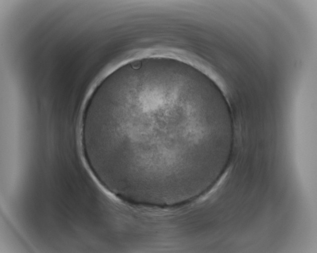 X0000114561525200910191421