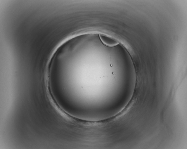 X0000114561526200910191421