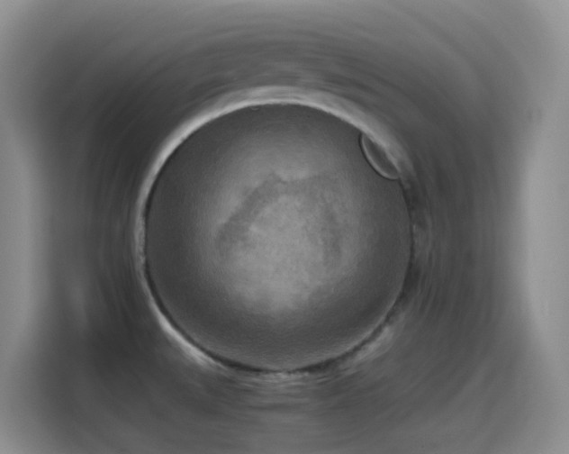 X0000114561527200910191421