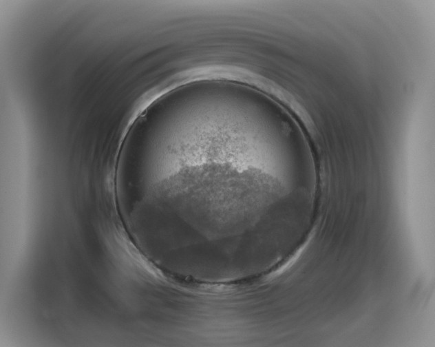 X0000114561529200910191421