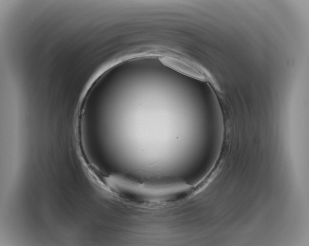 X0000114561530200910191421