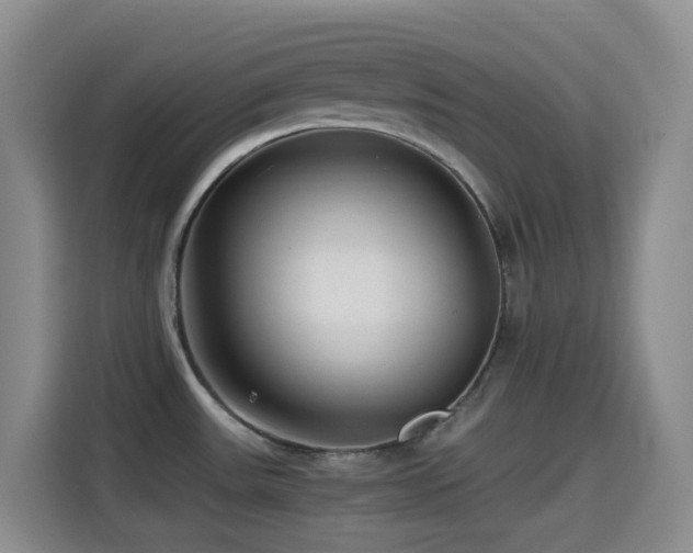 X0000114561531200910191421