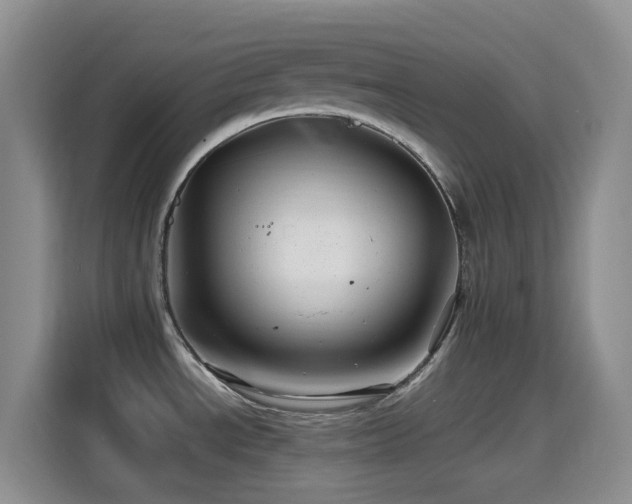 X0000114561534200910191421