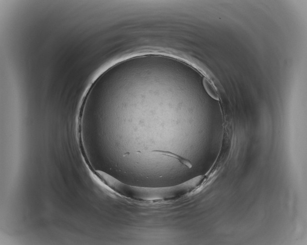 X0000114561535200910191421
