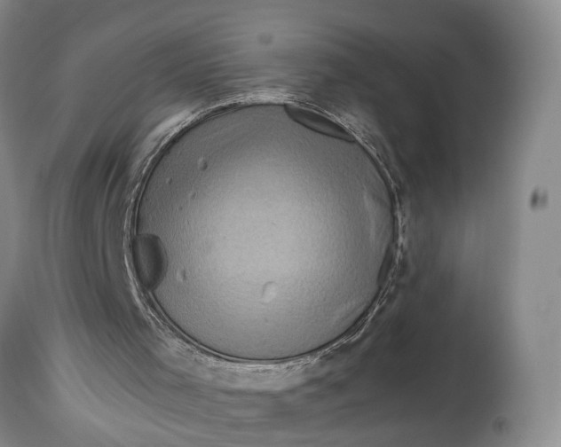 X0000114560001200911091228