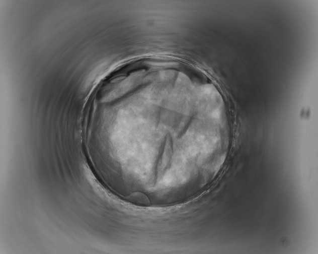 X0000114560002200911091228