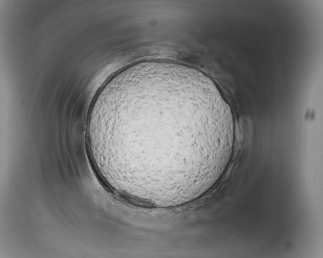 X0000114560003200911091228