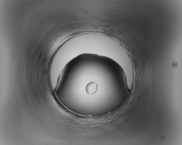 X0000114560005200911091228