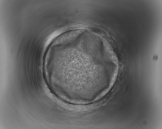 X0000114560006200911091228