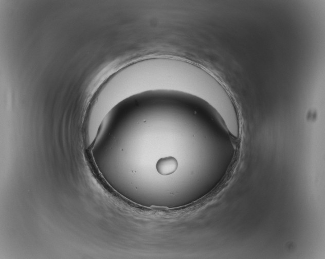 X0000114560007200911091228