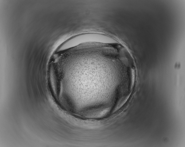 X0000114560008200911091228