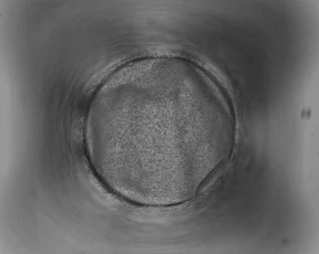 X0000114560009200911091228