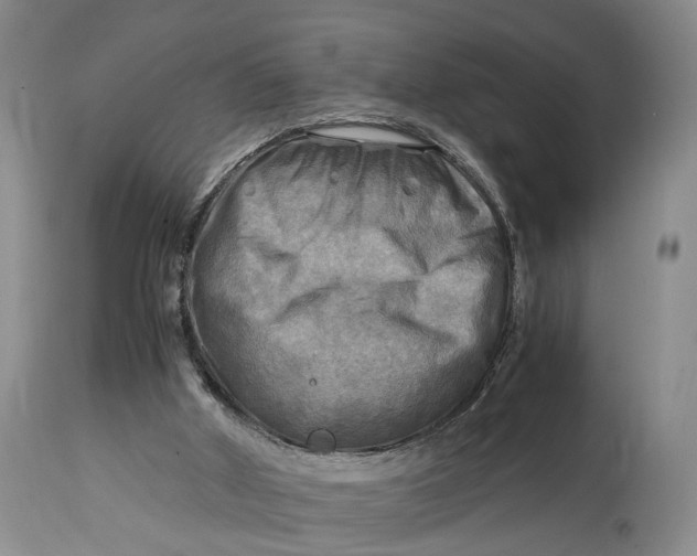 X0000114560010200911091228