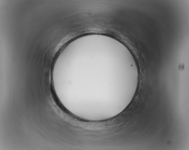 X0000114560011200911091228