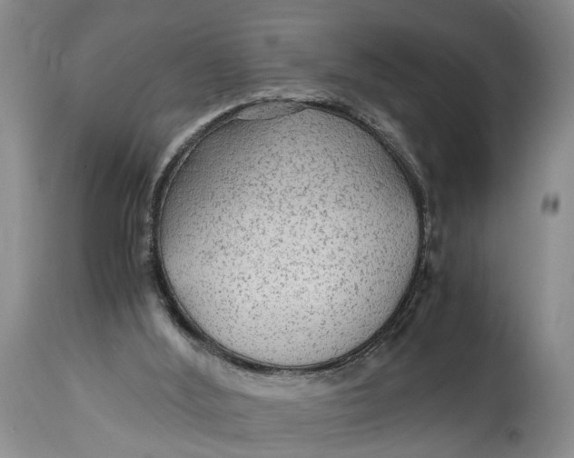 X0000114560012200911091228