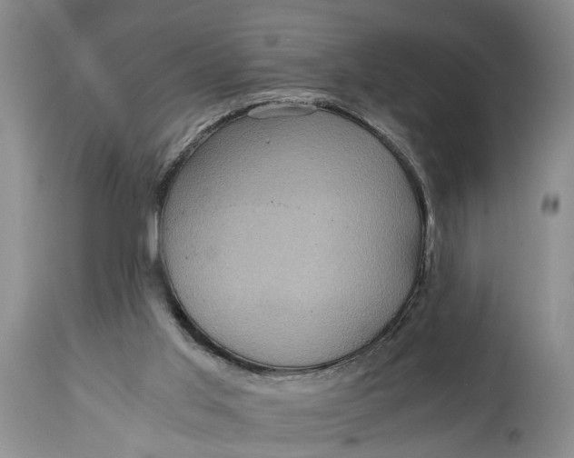 X0000114560013200911091228