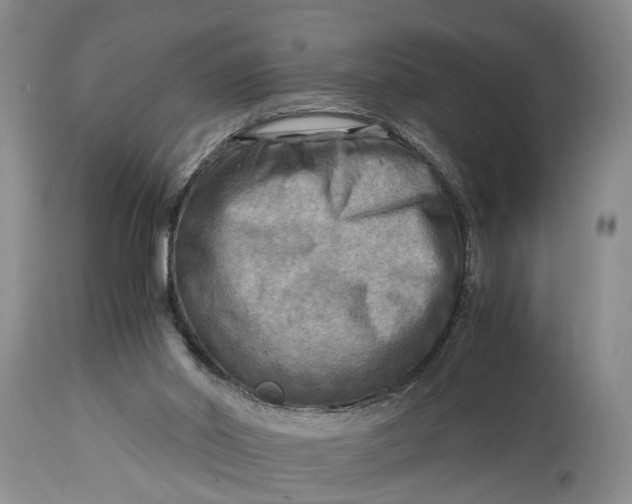 X0000114560014200911091228