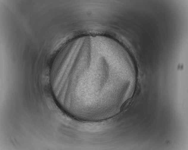 X0000114560017200911091228