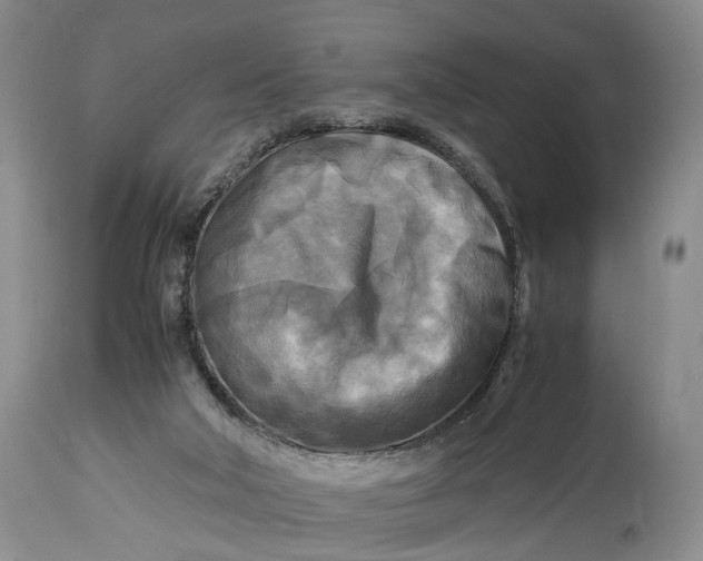 X0000114560018200911091228
