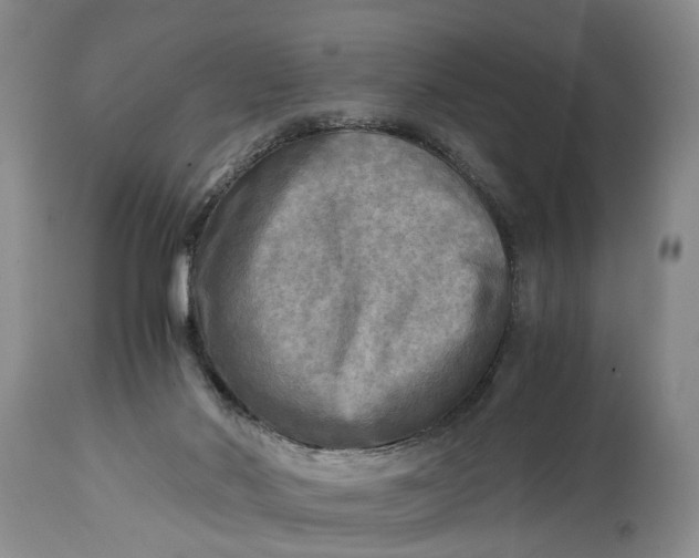 X0000114560022200911091228