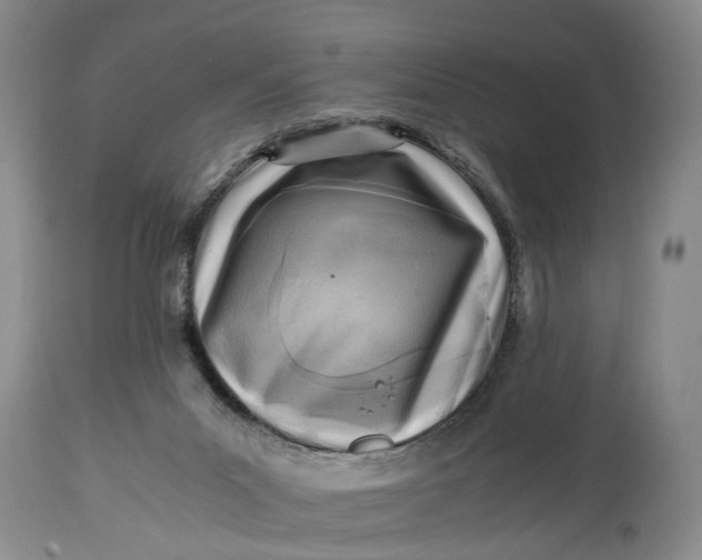 X0000114560023200911091228