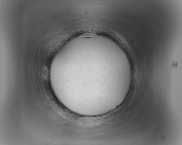 X0000114560025200911091228